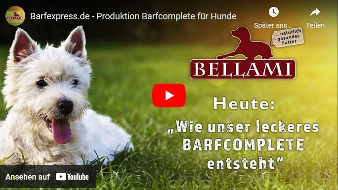 Hund auf wiese mit Barfexpress Logo