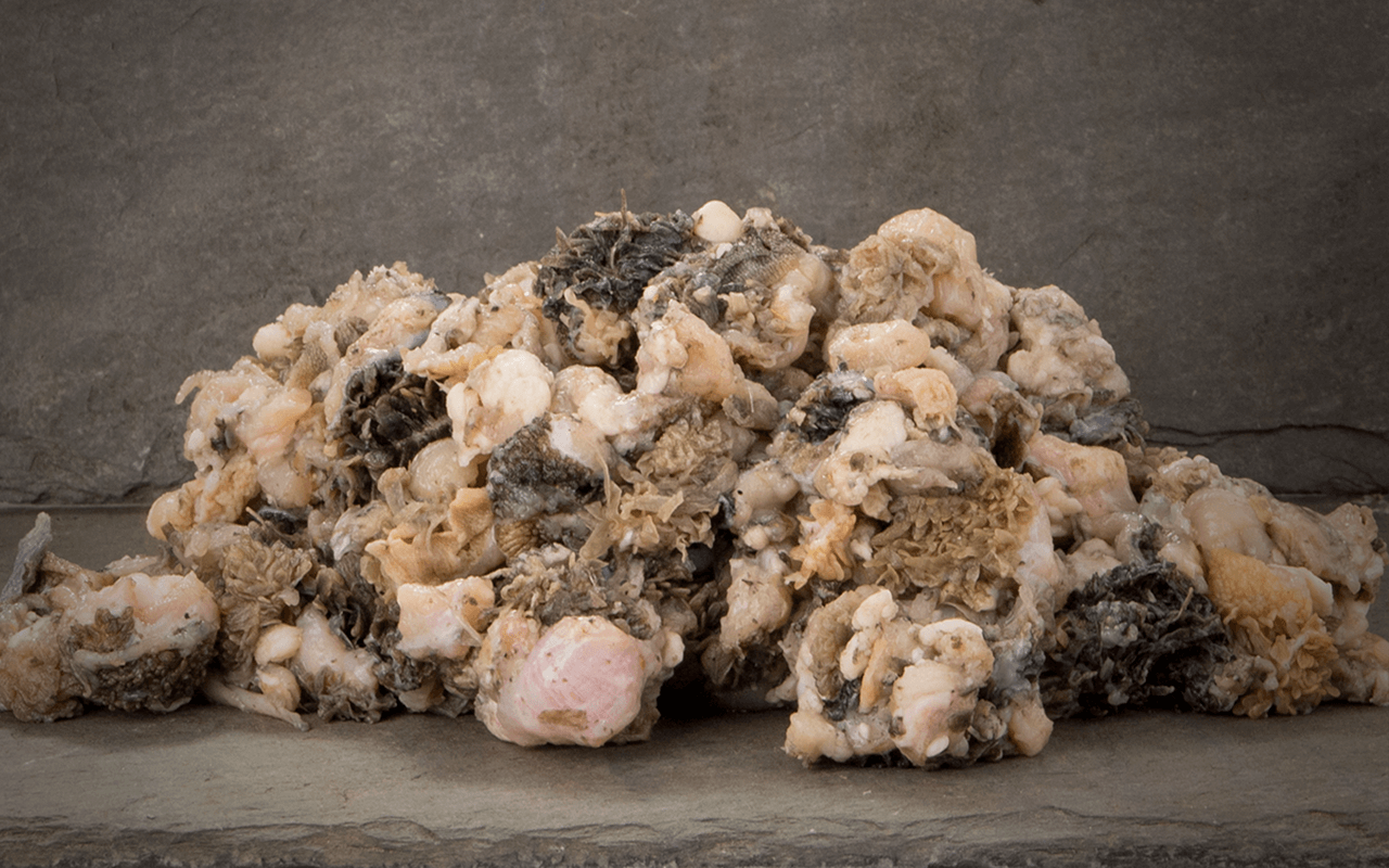 Kategoriebild Barf Rind Kategoriebild Barf gewolfter grüner Rinderpansen